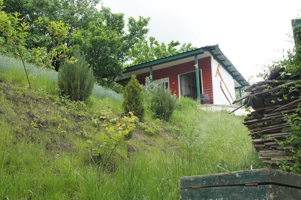 Casa Bella Turda Hotel Екстериор снимка